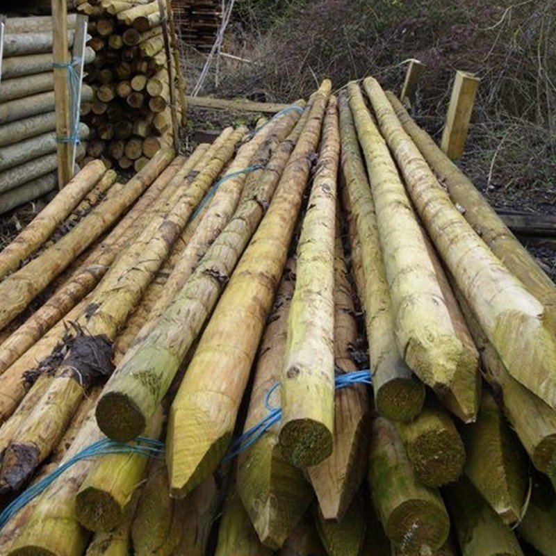 Peeled and Pointed Pine Posts and Stakes Buy Machined Posts and