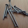 Galvanised Nails