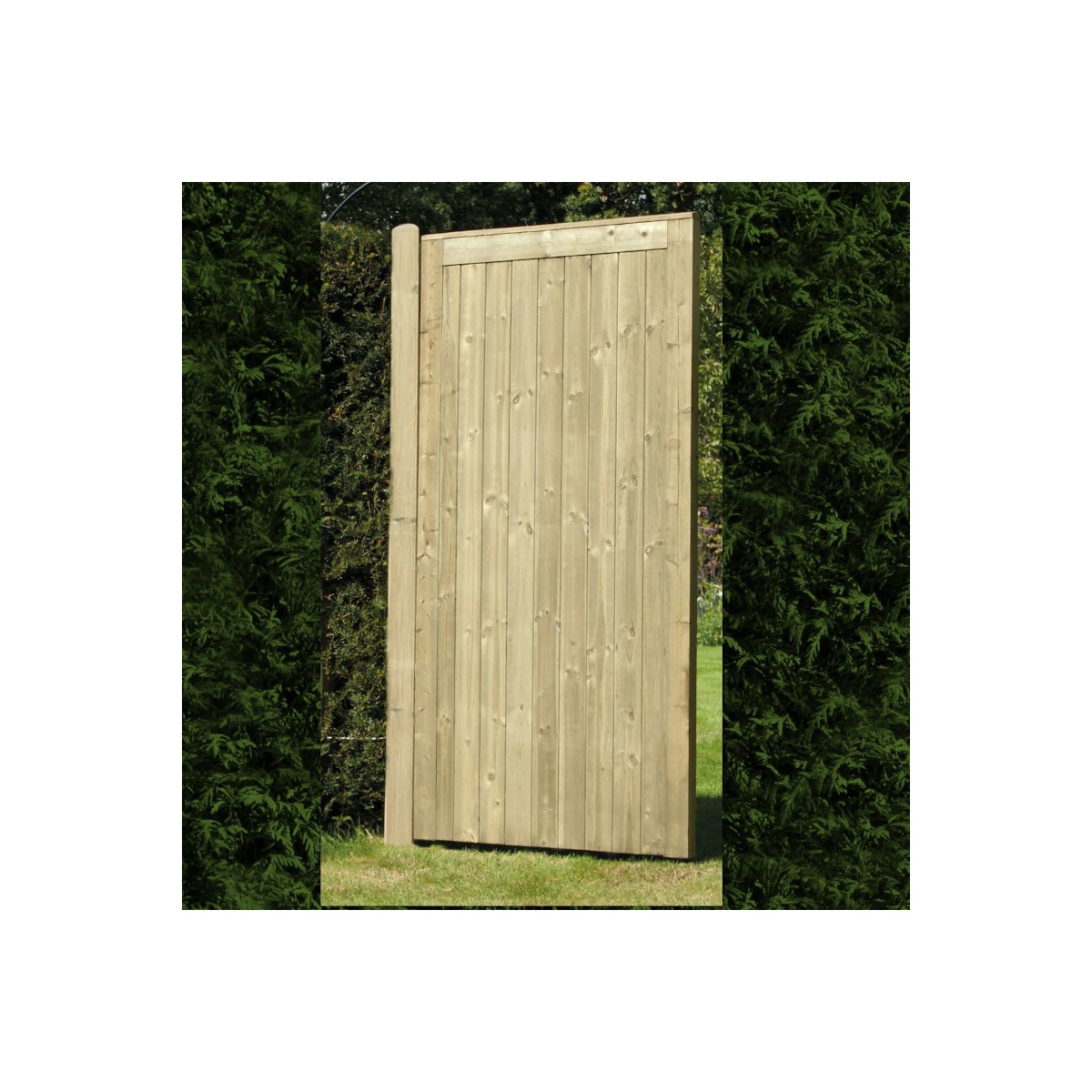 Elite Tongue and Groove Gate Pressure Treated Braced and Ledged High Quality 