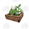 Brown Eco Treated Softwood Sleeper Raised Bed Kit - Square