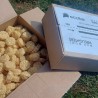 Ecofire Wood Fuels Taster Package | UK Timber