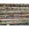 Untreated Larch Rustic Softwood Sleepers