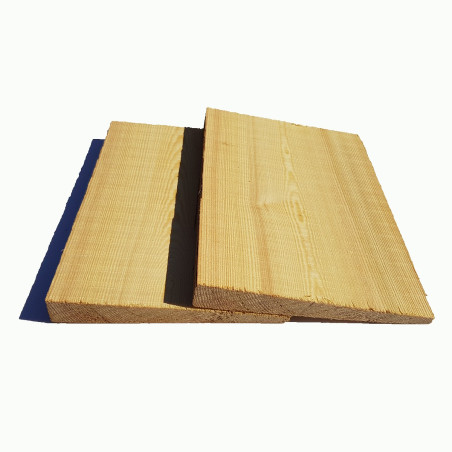 Siberian Larch