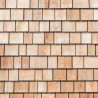 Shingles