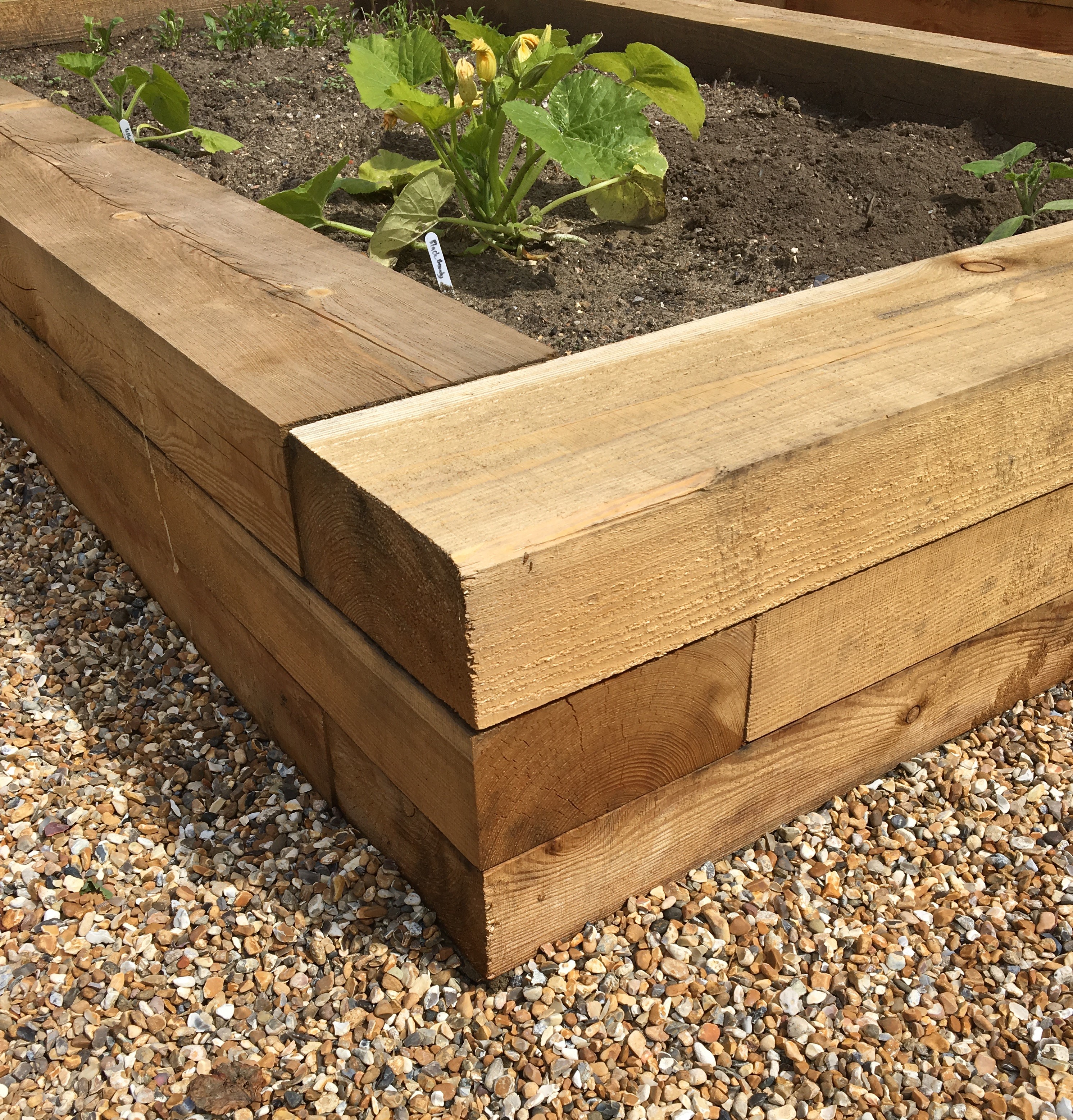 Siberian Larch Raised Beds Project, Wood For Raised Garden Bed Uk